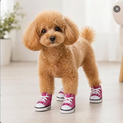 4-Piece Denim Pet Shoes – Anti-Slip Water-Resistant Booties for Small Dogs & Cats